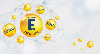Những dưỡng chất cần thiết cho sự phát triển não bộ của trẻ là gì?